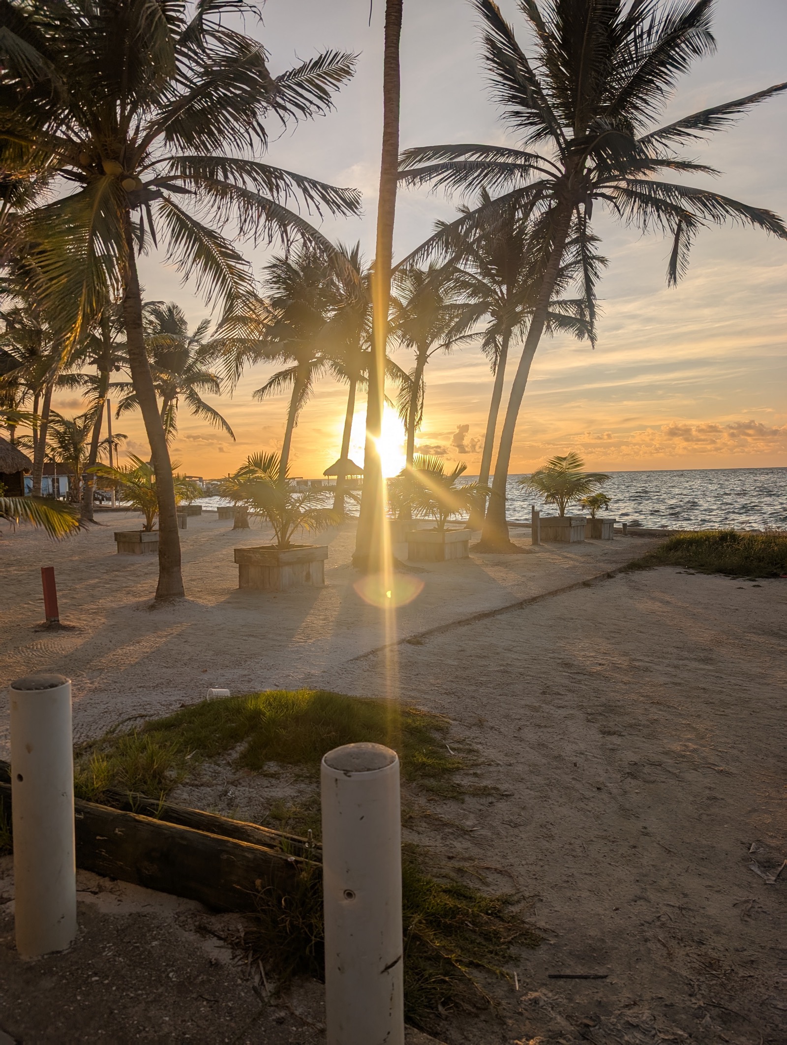 Casa RA - Journey to Paradise